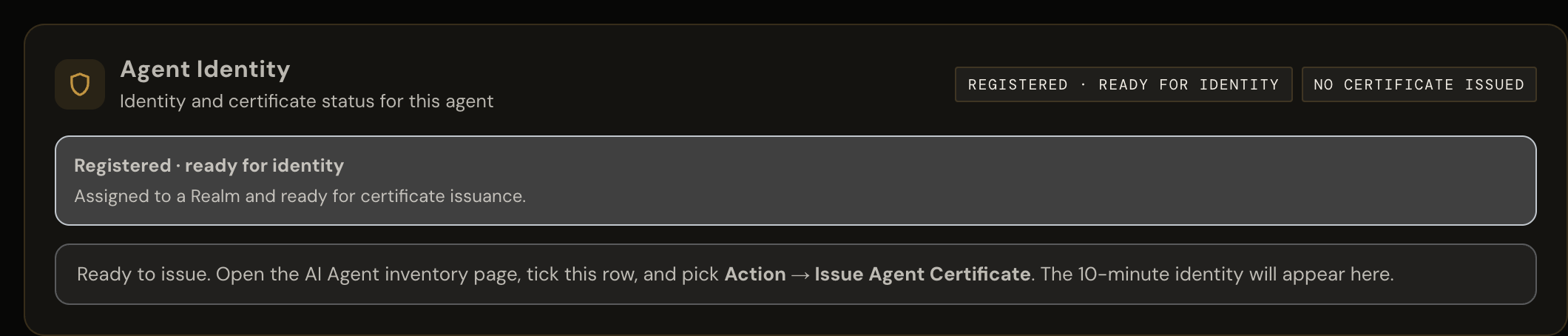 AgentID Agent Identity panel showing an agent registered and ready for identity, with the note that its 10-minute identity will appear there once issued.